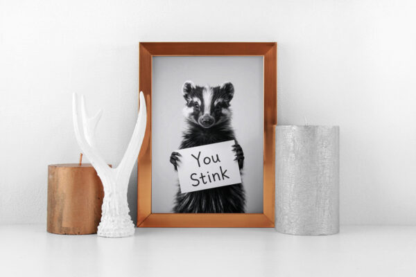 Skunk Stink MK2 scaled