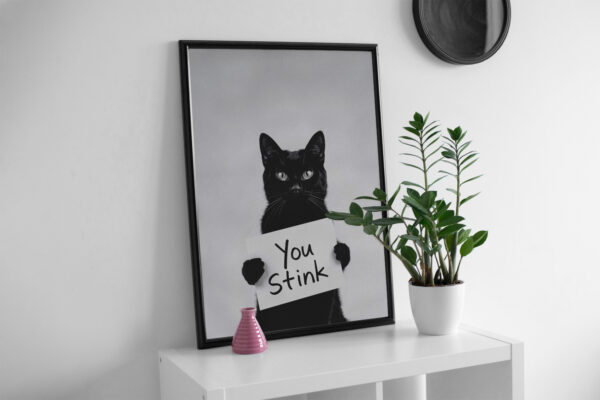 bkack cat stink mk2 scaled